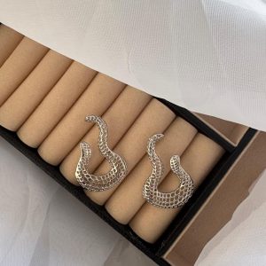 Brinco modelo serpente na cor prata