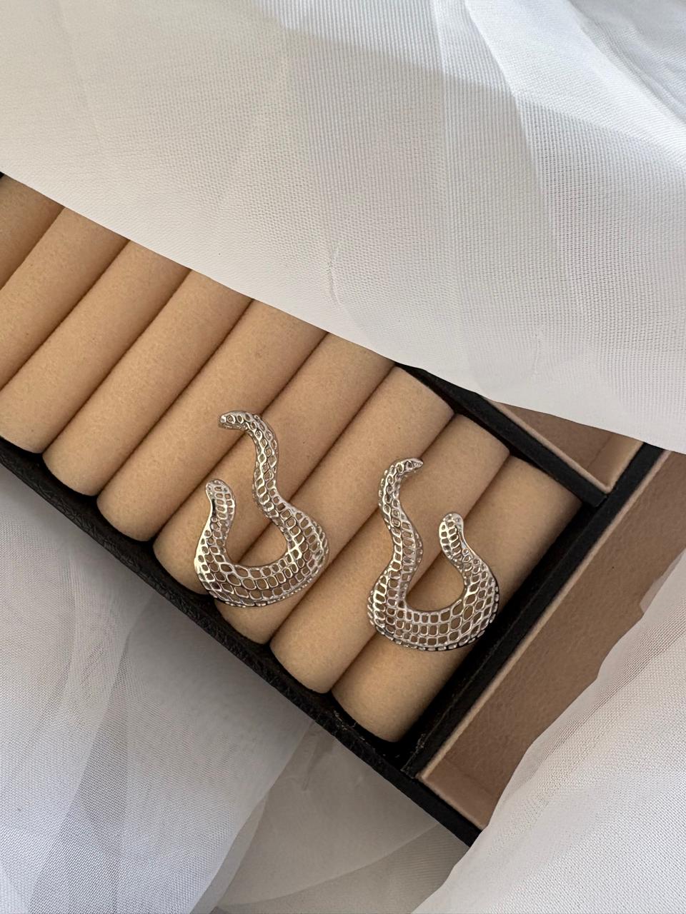 Brinco modelo serpente na cor prata